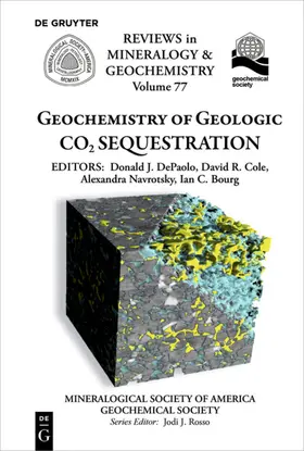 DePaolo / Cole / Navrotsky |  Geochemistry of Geologic CO2 Sequestration | eBook | Sack Fachmedien