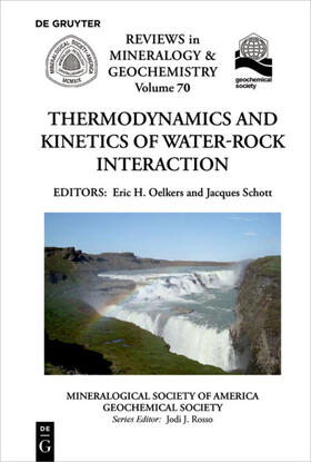 Oelkers / Schott |  Thermodynamics and Kinetics of Water-Rock Interaction | eBook | Sack Fachmedien