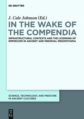 Johnson |  In the Wake of the Compendia | Buch |  Sack Fachmedien