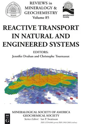 Druhan / Tournassat |  Reactive Transport in Natural and Engineered Systems | eBook | Sack Fachmedien