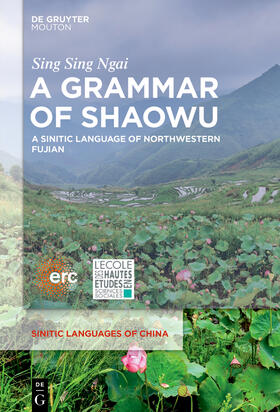 Ngai |  A Grammar of Shaowu | eBook | Sack Fachmedien