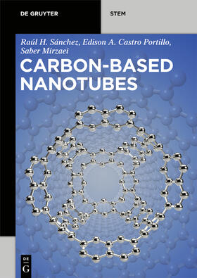 Hernández Sánchez / Castro Portillo / Mirzaei |  Carbon-Based Nanotubes | eBook | Sack Fachmedien