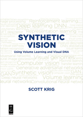 Krig |  Synthetic Vision | Buch |  Sack Fachmedien
