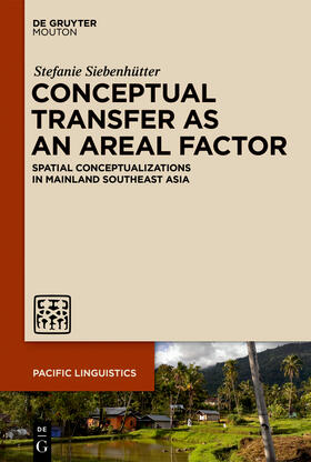 Siebenhütter |  Conceptual Transfer as an Areal Factor | Buch |  Sack Fachmedien