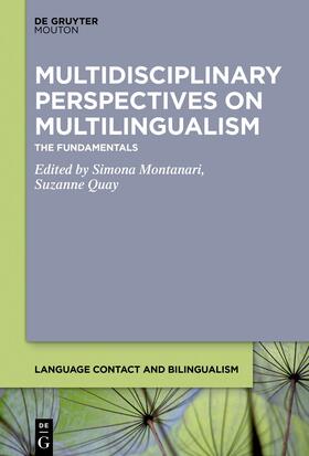 Quay / Montanari |  Multidisciplinary Perspectives on Multilingualism | Buch |  Sack Fachmedien