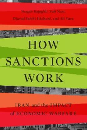 Bajoghli / Nasr / Salehi-Isfahani |  How Sanctions Work | eBook | Sack Fachmedien