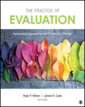 Kilmer / Cook |  The Practice of Evaluation | Buch |  Sack Fachmedien