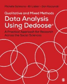 Salmona / Lieber / Kaczynski |  Qualitative and Mixed Methods Data Analysis Using Dedoose | eBook | Sack Fachmedien