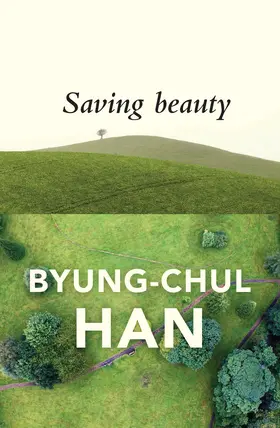 Han |  Saving Beauty | Buch |  Sack Fachmedien