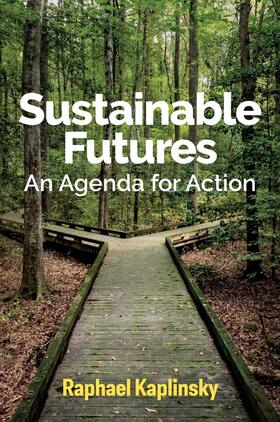 Kaplinsky |  Sustainable Futures | Buch |  Sack Fachmedien