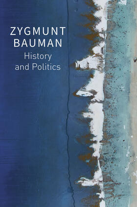 Bauman / Davis / Brzezinski |  History and Politics | Buch |  Sack Fachmedien