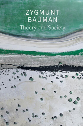 Bauman / Brzezinski / Campbell |  Theory and Society | Buch |  Sack Fachmedien