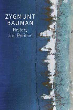 Bauman / Davis / Palmer |  History and Politics | eBook | Sack Fachmedien