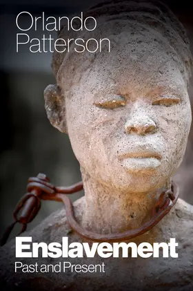 Patterson |  Enslavement | Buch |  Sack Fachmedien