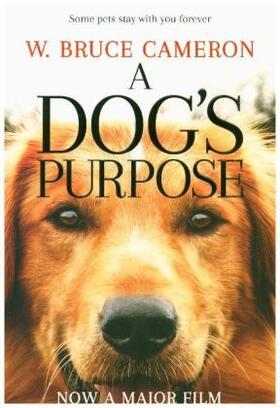 Cameron |  A Dog's Purpose. Film Tie-In | Buch |  Sack Fachmedien