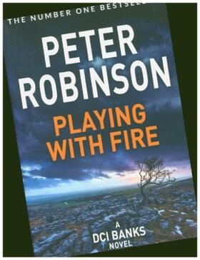 Robinson |  Playing With Fire | Buch |  Sack Fachmedien