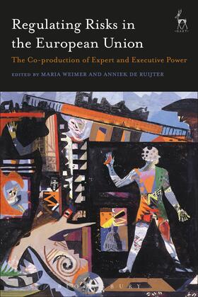 Weimer / de Ruijter |  Regulating Risks in the European Union: The Co-Production of Expert and Executive Power | Buch |  Sack Fachmedien