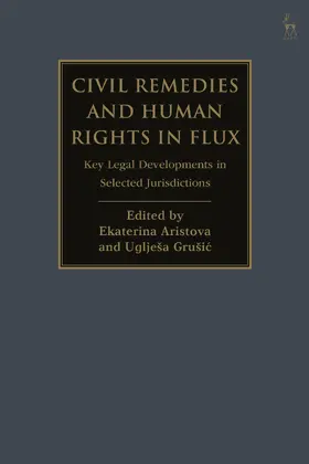 Aristova / Grusic | Civil Remedies and Human Rights in Flux | Buch | 978-1-5099-4759-1 | sack.de