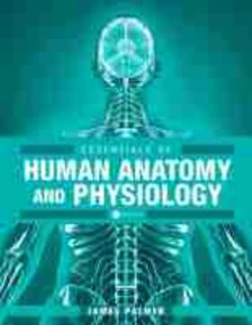 Palmer |  Essentials of Human Anatomy and Physiology | Buch |  Sack Fachmedien