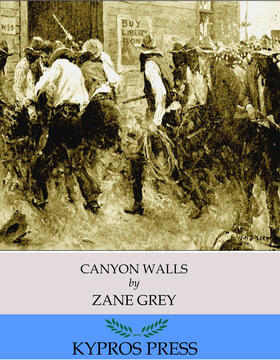 Grey |  Canyon Walls | eBook | Sack Fachmedien