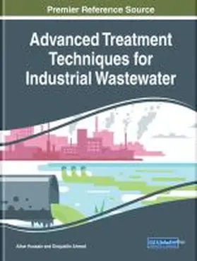 Ahmed / Hussain |  Advanced Treatment Techniques for Industrial Wastewater | Buch |  Sack Fachmedien