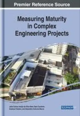 Araújo Da Silva Neto / Coutinho / Teixeira |  Measuring Maturity in Complex Engineering Projects | Buch |  Sack Fachmedien