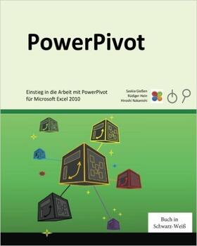 Gießen | Einstieg in die Arbeit mit PowerPivot für Microsoft Excel 2010 | Buch | 978-1-5233-1344-0 | sack.de