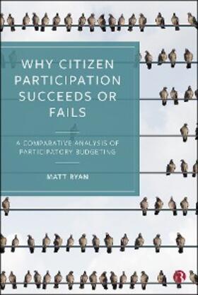 Ryan |  Why Citizen Participation Succeeds or Fails | eBook | Sack Fachmedien