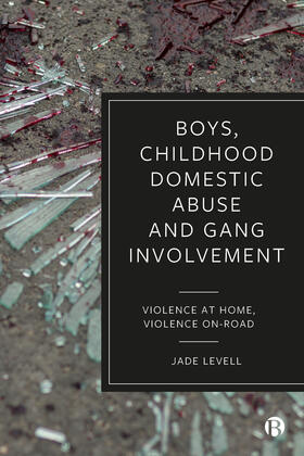 Levell |  Boys, Childhood Domestic Abuse and Gang Involvement | Buch |  Sack Fachmedien