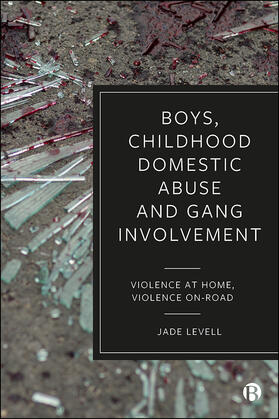 Levell |  Boys, Childhood Domestic Abuse and Gang Involvement | eBook | Sack Fachmedien