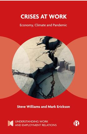 Williams / Erickson |  Crises at Work | Buch |  Sack Fachmedien