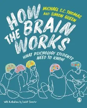 Thomas / Green |  How the Brain Works | eBook | Sack Fachmedien