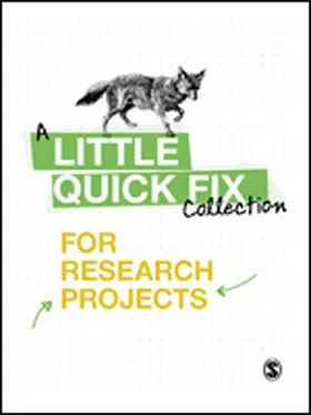  Little Quick Fixes for Research Projects | Buch |  Sack Fachmedien