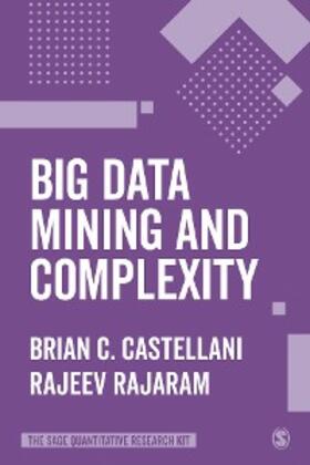 Castellani / Rajaram |  Big Data Mining and Complexity | eBook | Sack Fachmedien