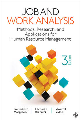 Morgeson / Brannick / Levine |  Job and Work Analysis | Buch |  Sack Fachmedien