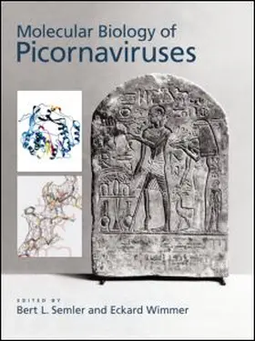 Semler / Wimmer |  Molecular Biology of Picornavirus | Buch |  Sack Fachmedien