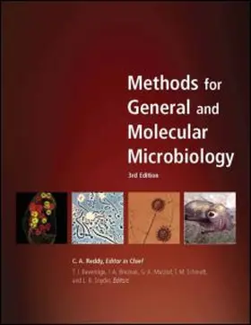 Reddy / Beveridge / Breznak |  Methods for General and Molecular Microbiology | Buch |  Sack Fachmedien