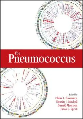 Tuomanen / Mitchell / Morrison |  The Pneumococcus | Buch |  Sack Fachmedien