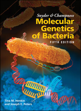 Henkin / Peters |  Snyder and Champness Molecular Genetics of Bacteria | Buch |  Sack Fachmedien