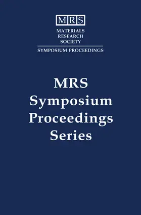 Clevenger / Campbell / Besser |  Gate Stack and Silicide Issues in Silicon Processing: Volume 611 | Buch |  Sack Fachmedien