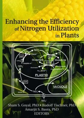 Goyal / Tischner |  Enhancing the Efficiency of Nitrogen Utilization in Plants | Buch |  Sack Fachmedien