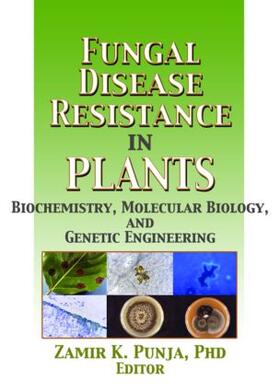 Punja |  Fungal Disease Resistance in Plants | Buch |  Sack Fachmedien