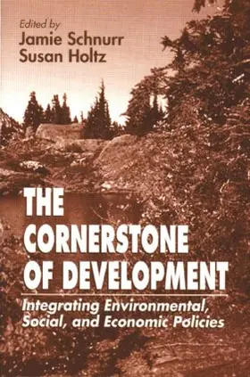 Schnurr / Idrc / Holtz |  The Cornerstone of Development | Buch |  Sack Fachmedien