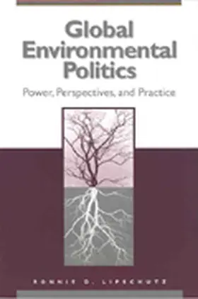 Lipschutz |  Global Environmental Politics | Buch |  Sack Fachmedien