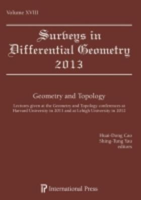  Surveys in Differential Geometry 2013 | Buch |  Sack Fachmedien