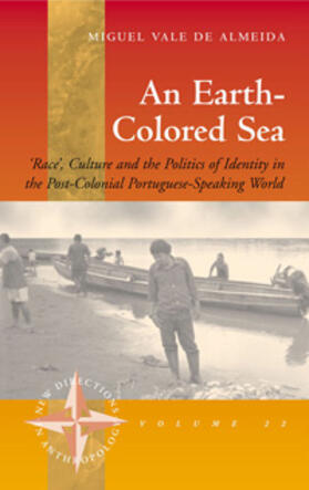 Almeida |  An Earth-colored Sea | Buch |  Sack Fachmedien