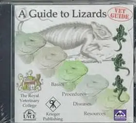 Waters | A Guide to Lizards | Sonstiges | 978-1-57524-117-3 | sack.de