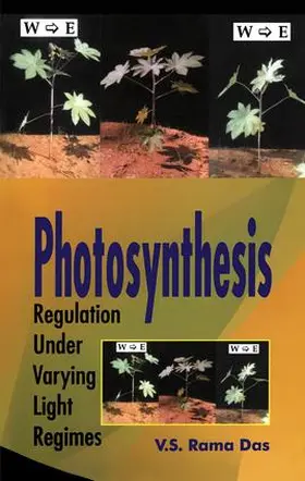 Das |  Photosynthesis | Buch |  Sack Fachmedien