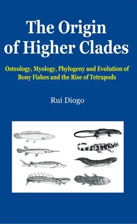 Diogo |  The Origin of Higher Clades | Buch |  Sack Fachmedien