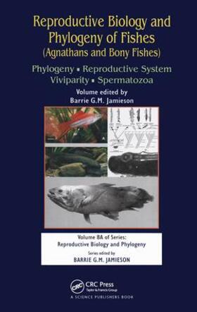 Jamieson |  Reproductive Biology and Phylogeny of Fishes (Agnathans and Bony Fishes) | Buch |  Sack Fachmedien